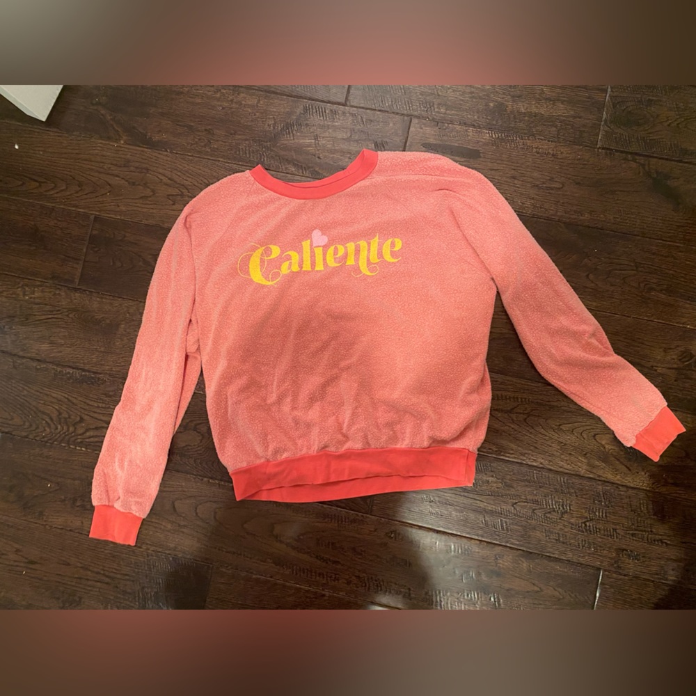 WILDFOX Caliente HOT Vintage Sweatshirt Statement Sweater Distressed Rare Boho M